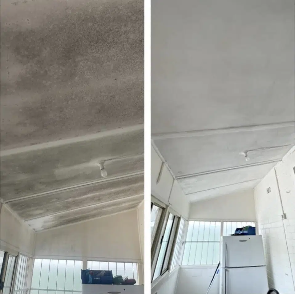 mould before and after sunroom ceiling